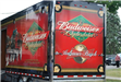 Budweiser Clydesdales Visiting Palatine