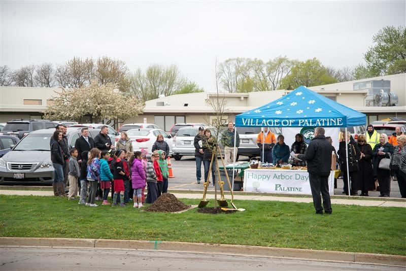 Arbor Day Festivities