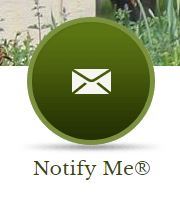 Notify Me Tab on Homepage