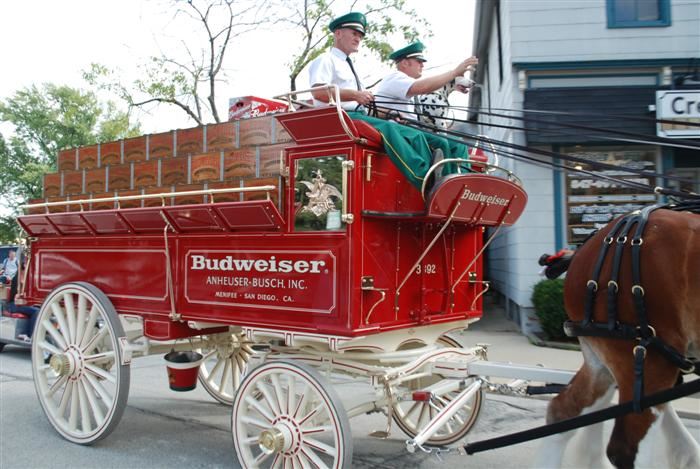 Budweiser Clydesdales Visiting Palatine