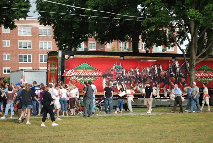 Budweiser Clydesdales Visiting Palatine