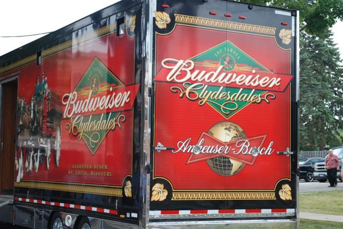 Budweiser Clydesdales Visiting Palatine