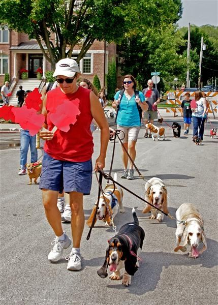 Pet Parade