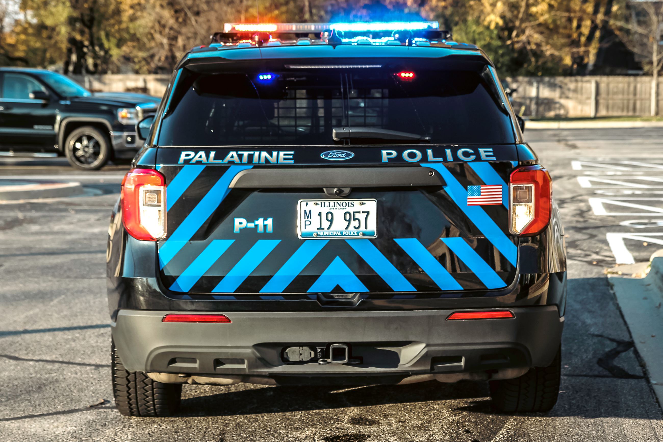 Palatine Police Flet